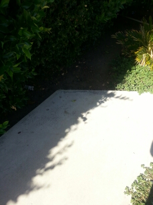 20130622_163559.jpg